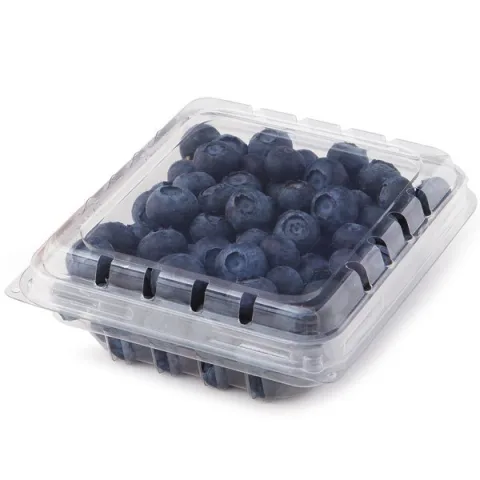 Blueberry 125 gm