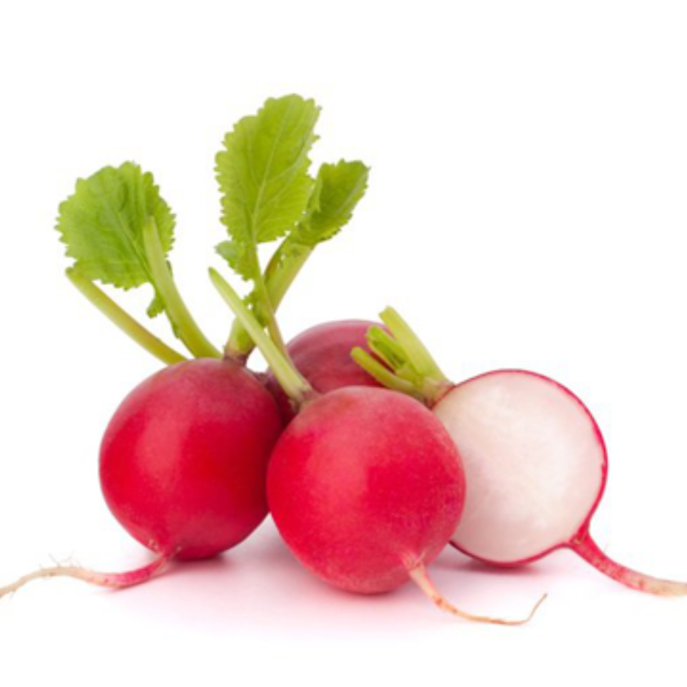 Radish Red 125 gm Holland - فجل أحمر هولندي