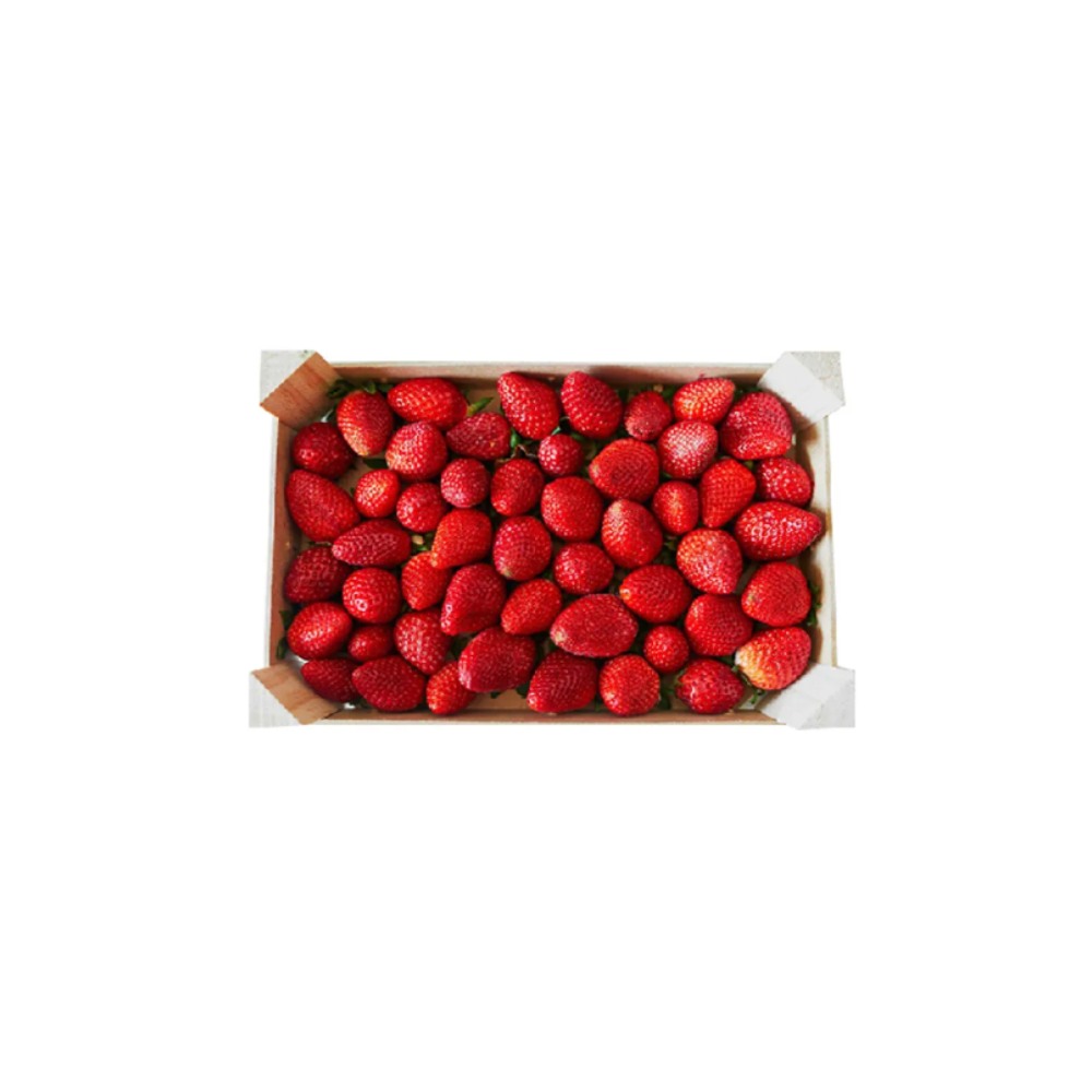 Strawberry Egypt 1 kg  فراوله مغربي