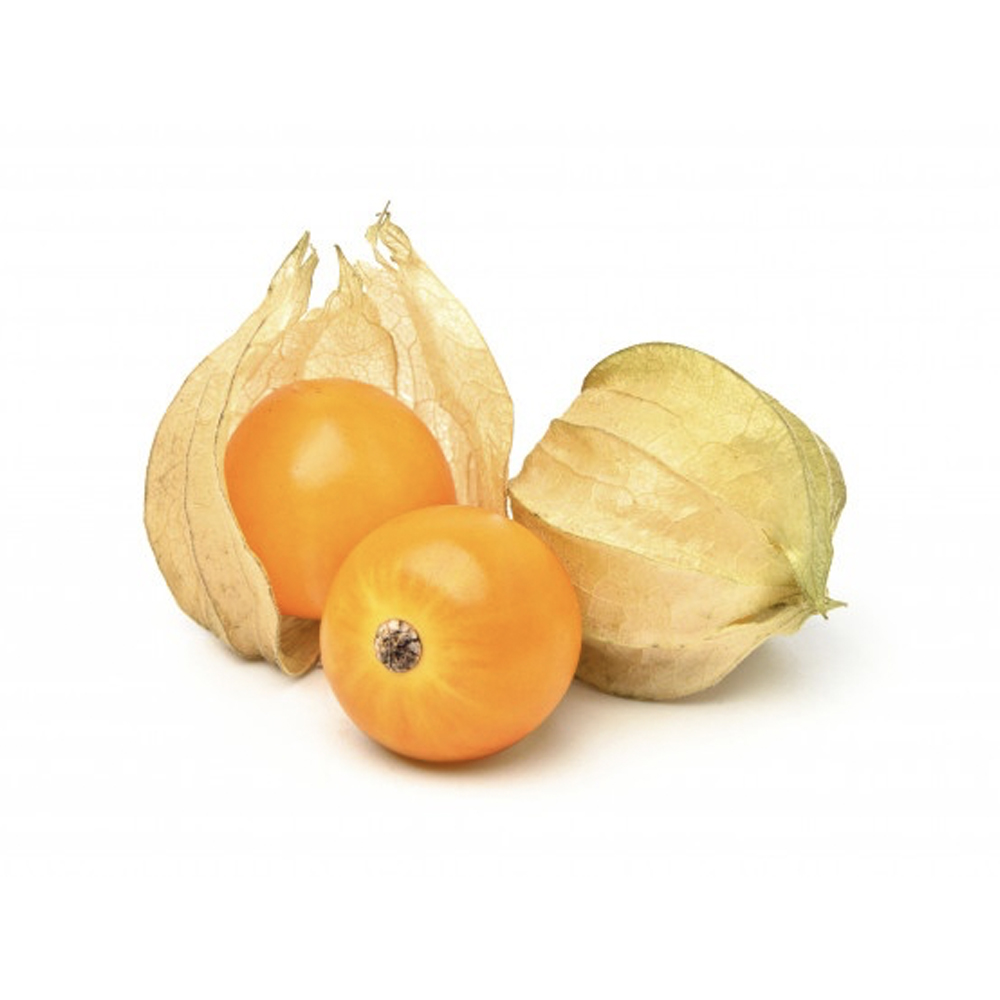 Physalis 100 gm حرنكش باكيت