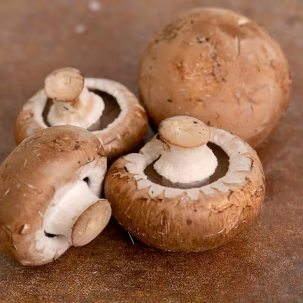 Mushroom Brown "Saudi" 250 gm - مشروم بني عماني/سعودي