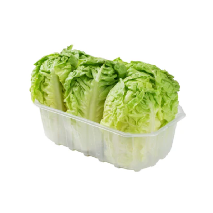 Lettuce Baby Gem Spain/Italy "6pc" - خس بيبي جيم اسباني