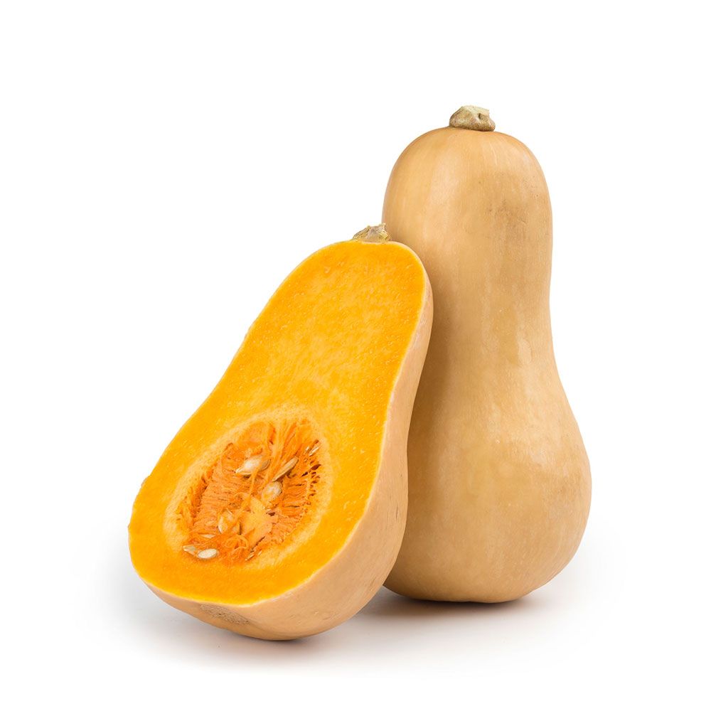 Butternut Squash - قرع طويل