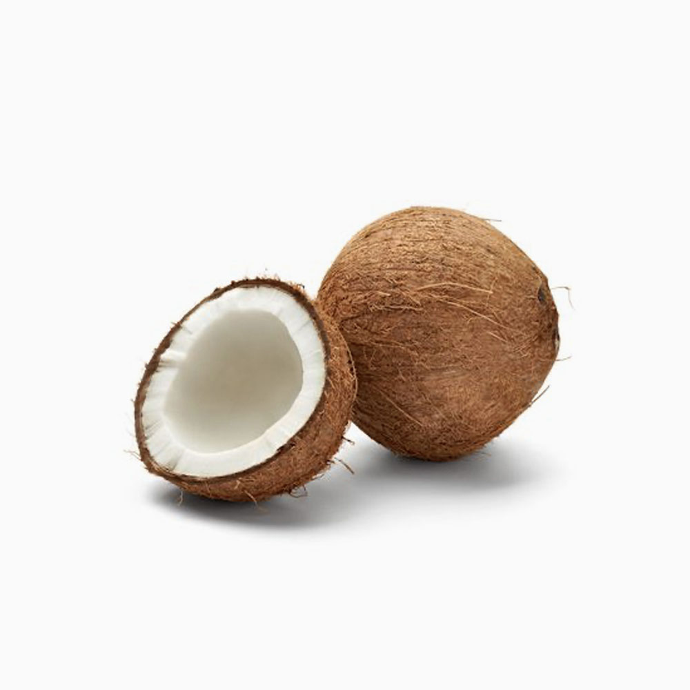 Coconut - جوز الهند