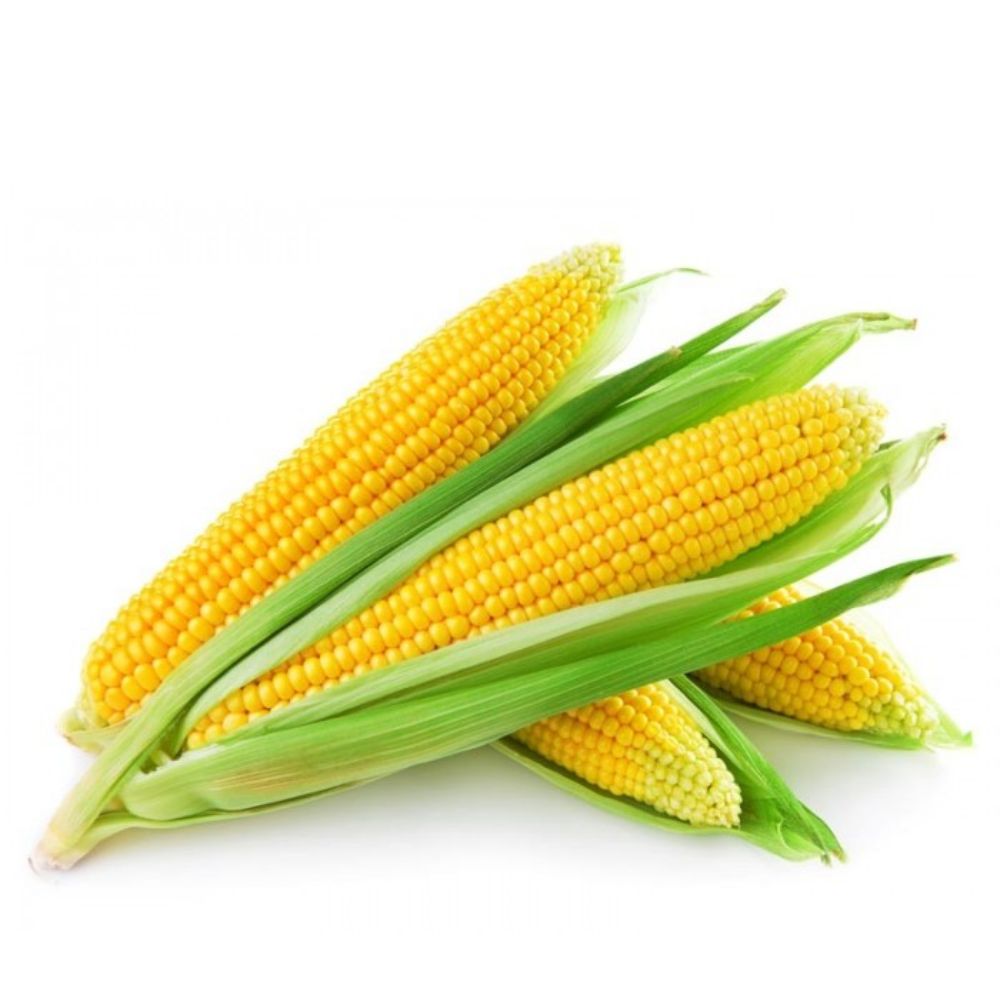 Corn USA "kg" -   ذرة اصفر امريكي كيلو