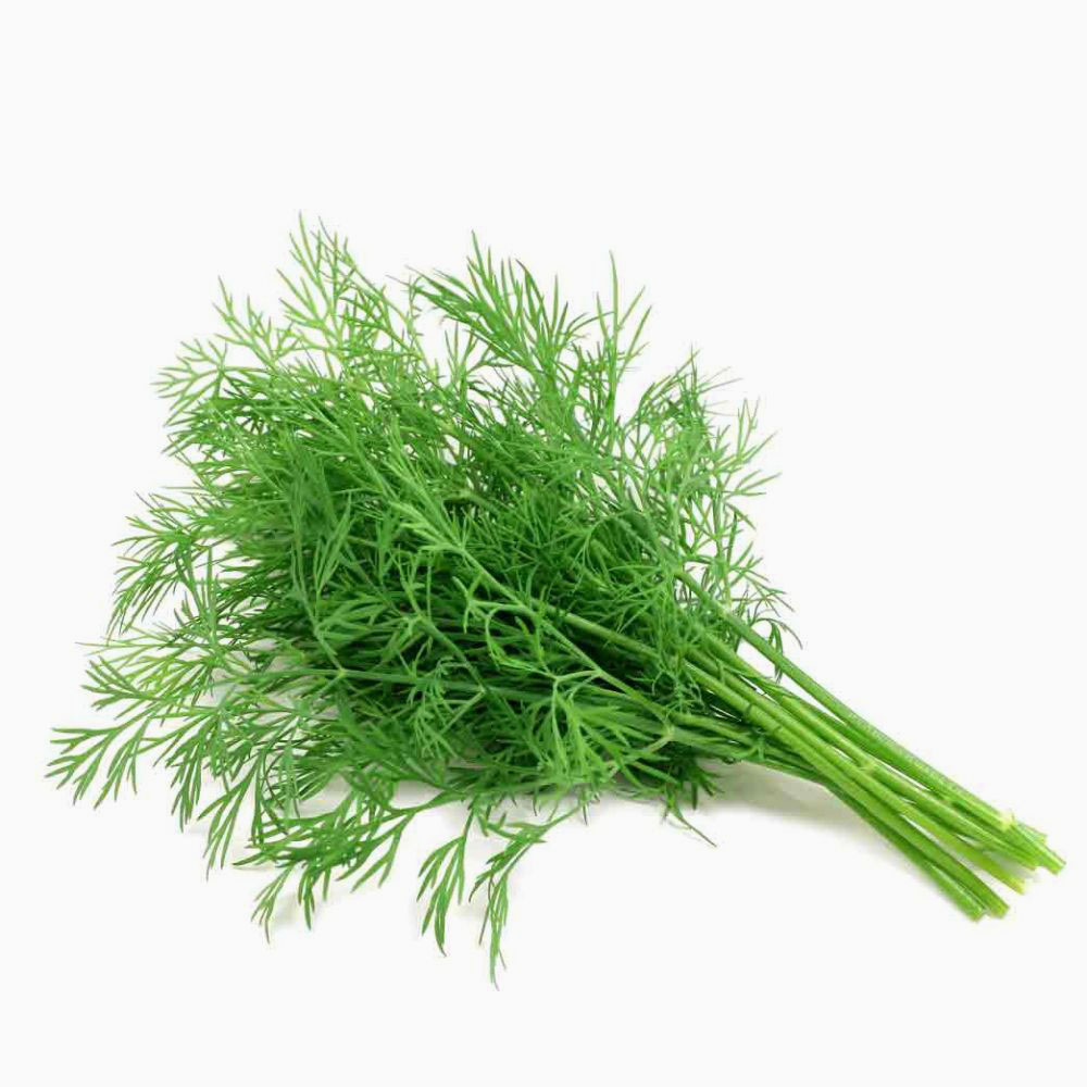 Dill Leaves 250 gm