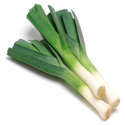 Leeks Holland - ليكس هولندي