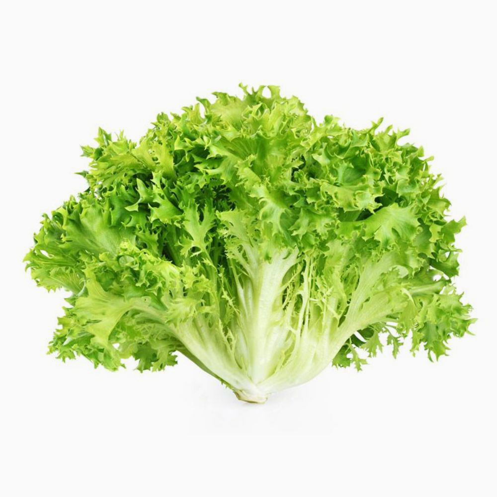 Lettuce Frisse Yellow 500 gm