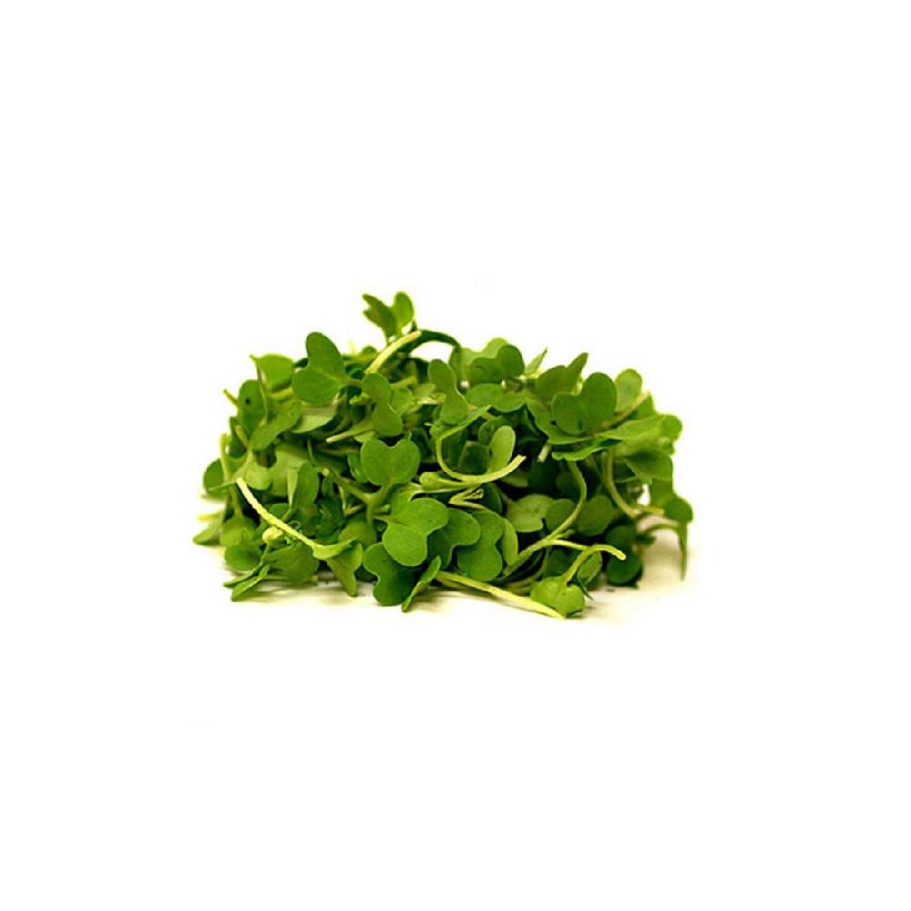 Mustard Cress - كريس ماسترد