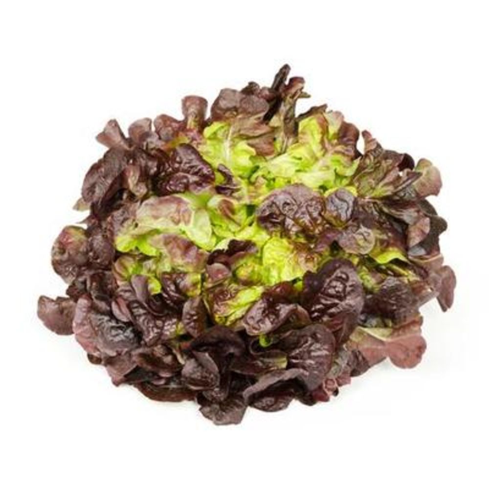 Oakleaf Lettuce 200 gm