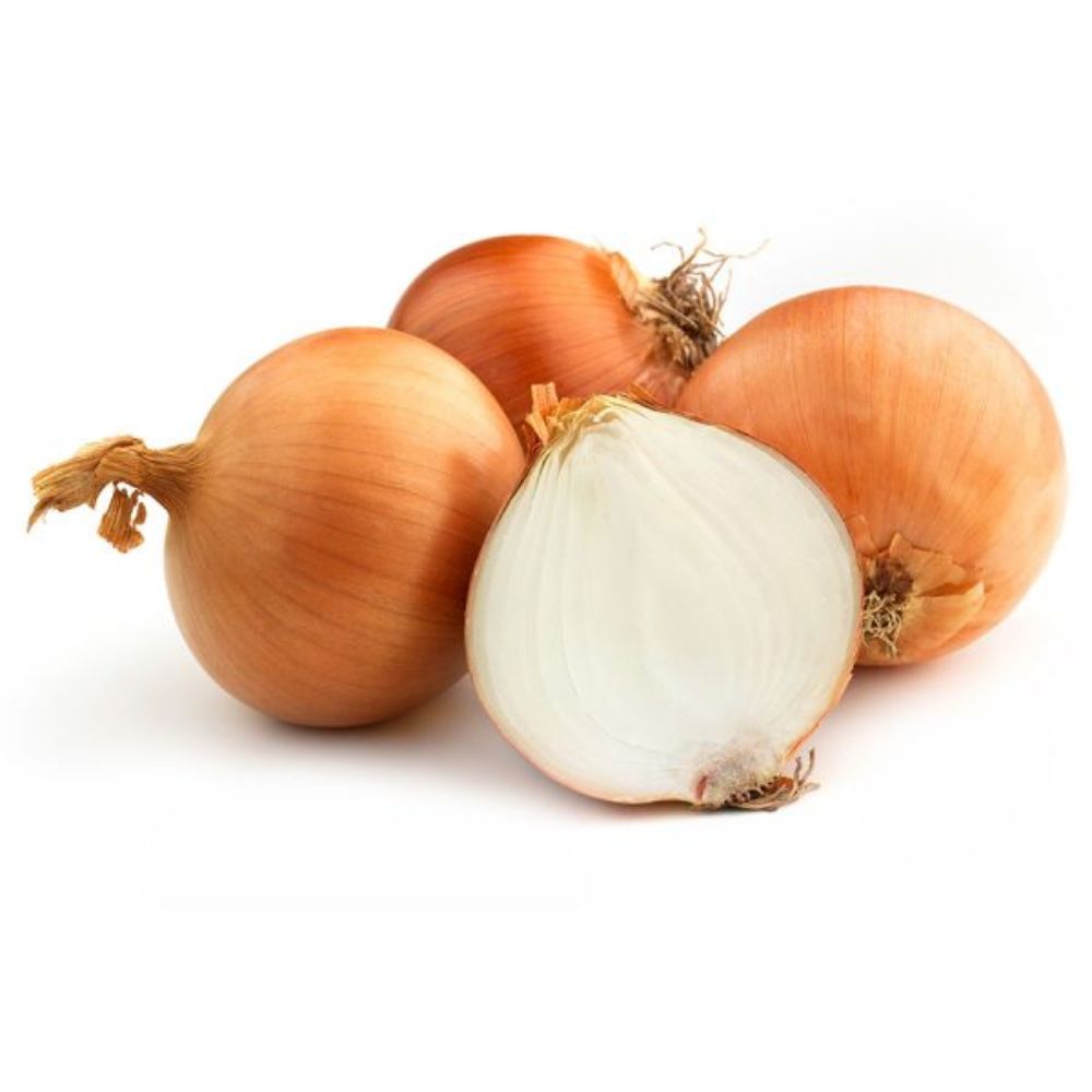 Onion Brown - بصل بني