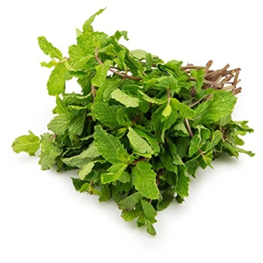 [3049] sanitized Mint Leaves 250 gm