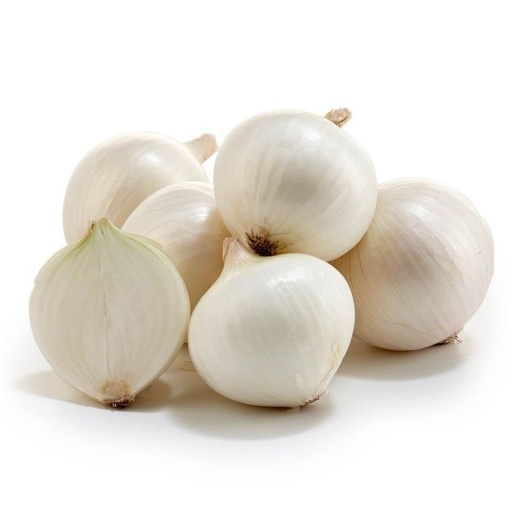 [2132] Onion White - بصل أبيض