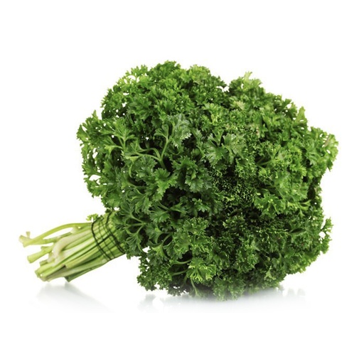 [3052] Parsley Holland 100 gm