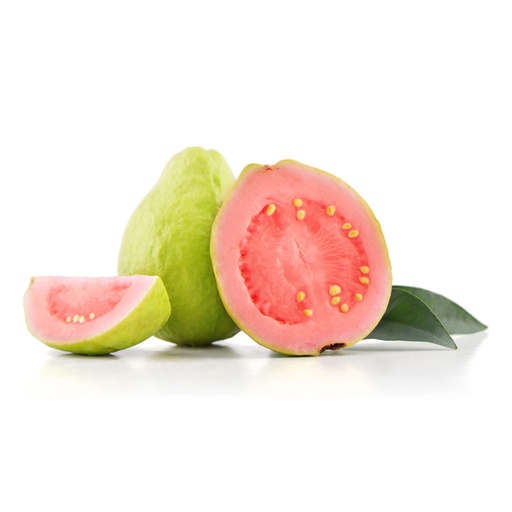 [1264] Pink Guava Columbia Pkt