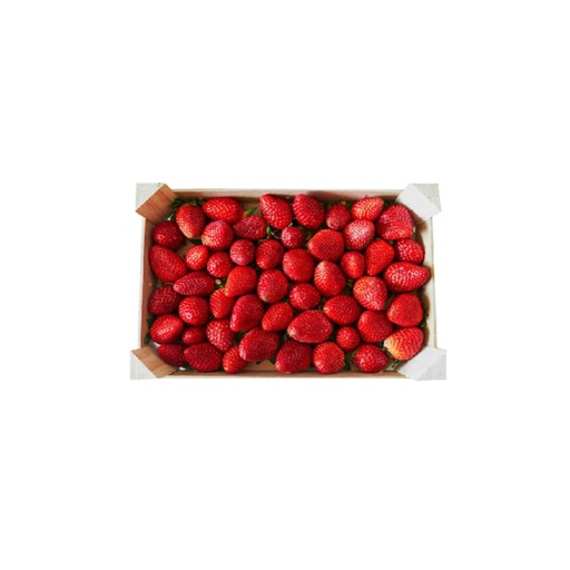 [1033] Strawberry Egypt 1 kg  فراوله مغربي