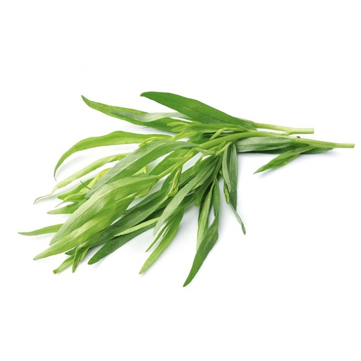 [3057] Tarragon Holland 100 gm
