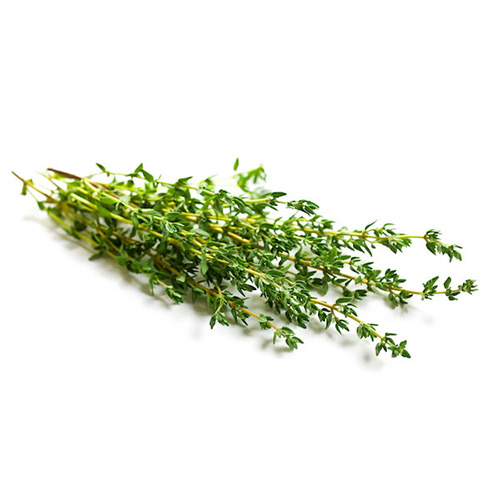 [3059] Thyme Holland 100 gm - زعتر هولندي