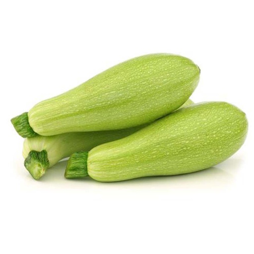[2158] Zucchini - كوسا