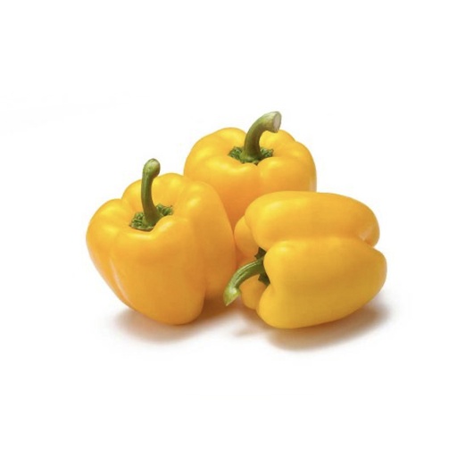 [2521] Capsicums Yellow Holland 500g