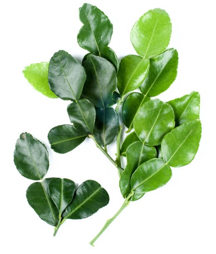 [3064] Lime Leaves 100g