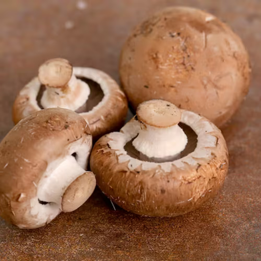 [2540] Mushroom Brown "Saudi" 250 gm - مشروم بني سعودي