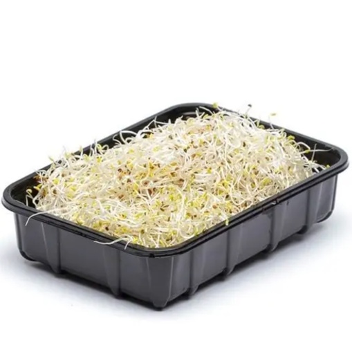 [2177] Alfalfa Sprouts  100 gm - ألفا ألفا