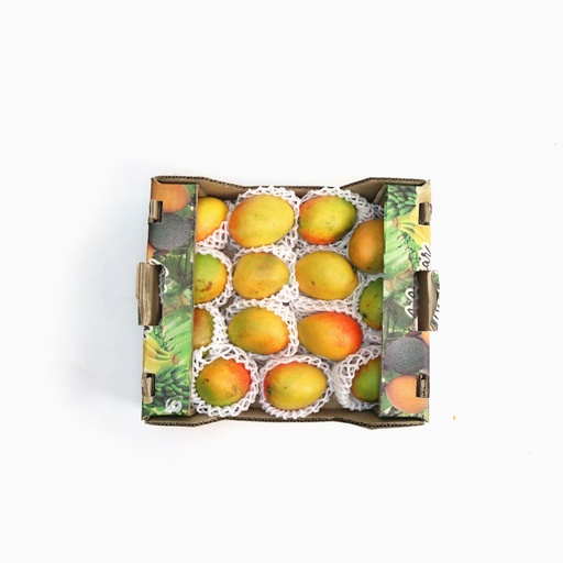 [1092] Baby Mango - بيبي مانجو