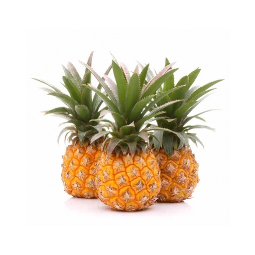 [1059] Baby Pineapple - أناناس بيبي