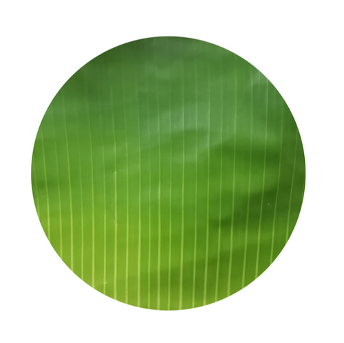[1166] Banana Leaves 500 gm