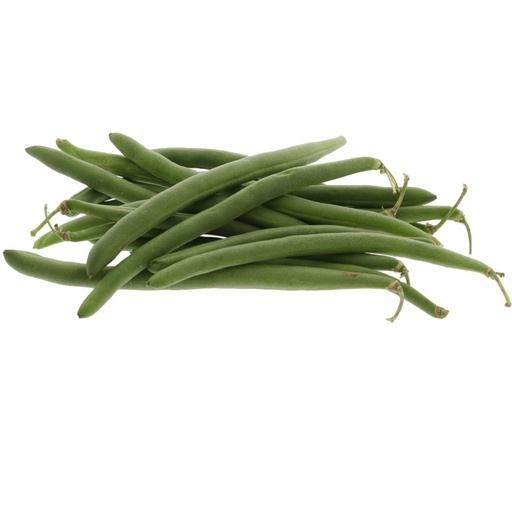 [2014] Beans Green Small - فاصولياء خضراء قصيرة