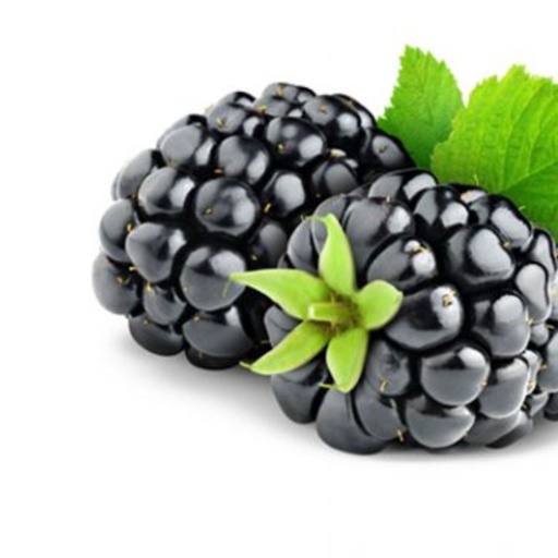 [1009] Blackberry Holland 125 gm -  توت أسود هولندا