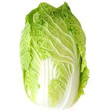 [2024] Cabbage Chinese - ملفوف صيني