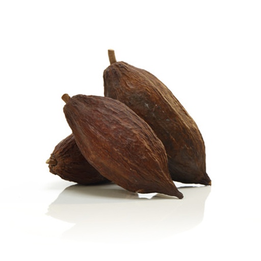[1168] Cacao Fruit (pc)