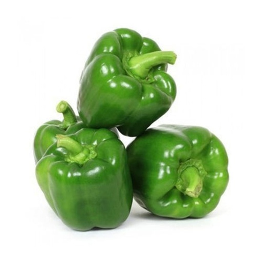 [2037] Capsicums Green - حلوة خضراء