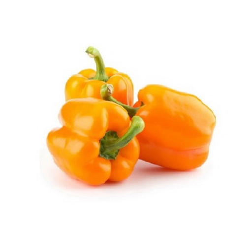 [2038] Capsicums Orange Spain/Holland - حلوة برتقالي إسبانيا/الهولندي