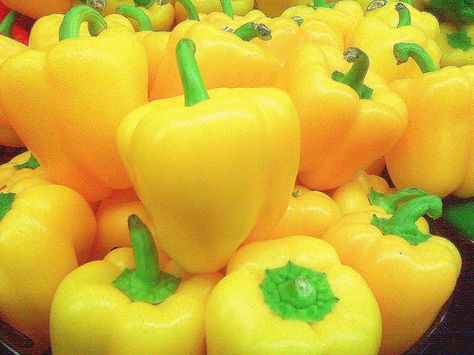 [2043] Capsicums Yellow  - حلوة اصفر