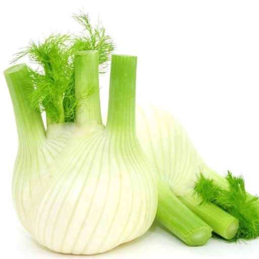 [2292] Fennel Root (pc) 200 gm