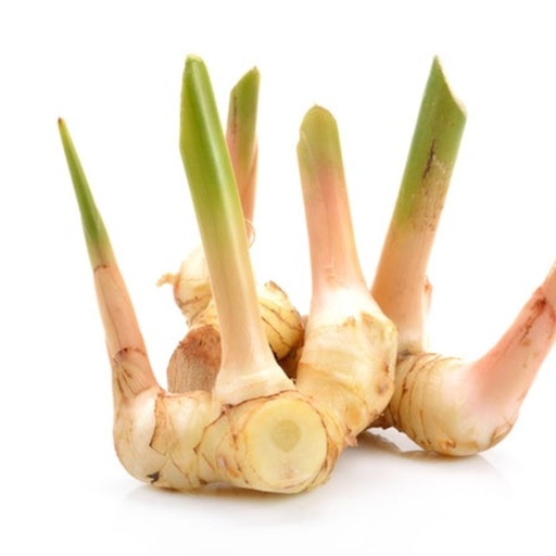 [2293] Galangal 500 gm - جلنجل