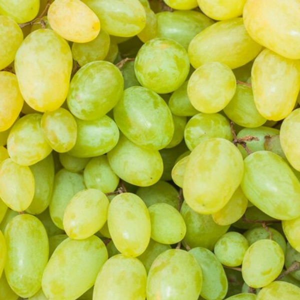 Grapes Green Jumbo (seedless) - Go Fresh